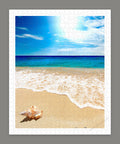 Pintoo H1335 Seashell on the Beach - 500 Piece Jigsaw Puzzle
