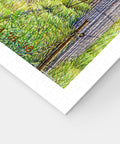 Pintoo H3053 Spring Follows Winter by Tadashi Matsumoto - 1000 Piece Jigsaw Puzzle