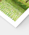 Pintoo H3056 Field Wind by Tadashi Matsumoto - 1000 Piece Jigsaw Puzzle