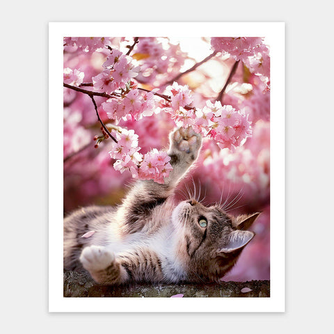 Pintoo H3956 Cat among Flowers - 500 Piece Jigsaw Puzzle by Lazy Spring