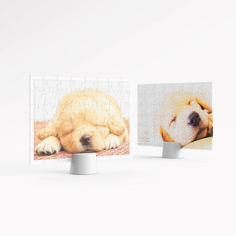 Showpiece 48 Piece Puzzles