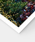 Beautiful Sunset of Greece - 4800 Piece Jigsaw Puzzle
