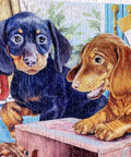 Close-up of two puppies on assembled puzzle.