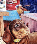 Detailed view of a puppy on the jigsaw puzzle.